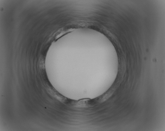 X0000081280384200702012225