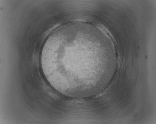 X0000081280386200702012224