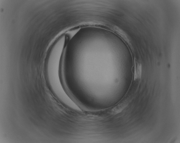 X0000081280387200702012224