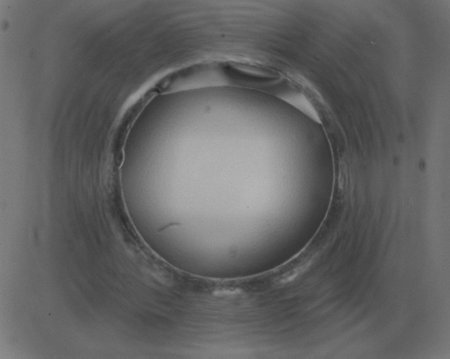 X0000081280388200702012224