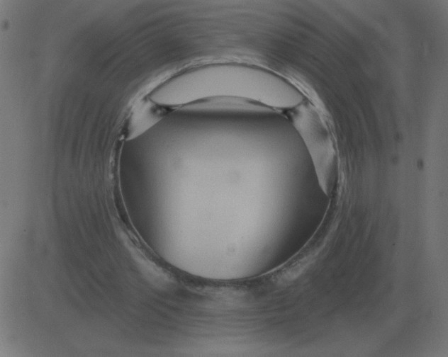 X0000081280389200702012224