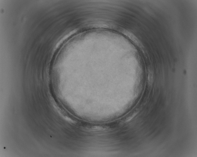 X0000081280390200702012224