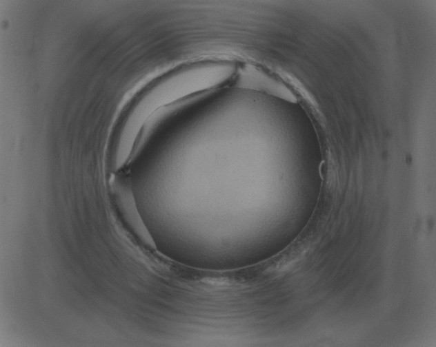 X0000081280391200702012224