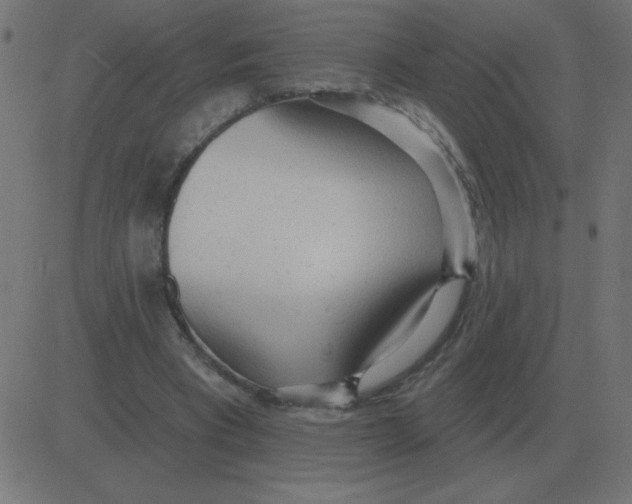 X0000081280393200702012224