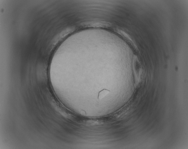 X0000081280394200702012224