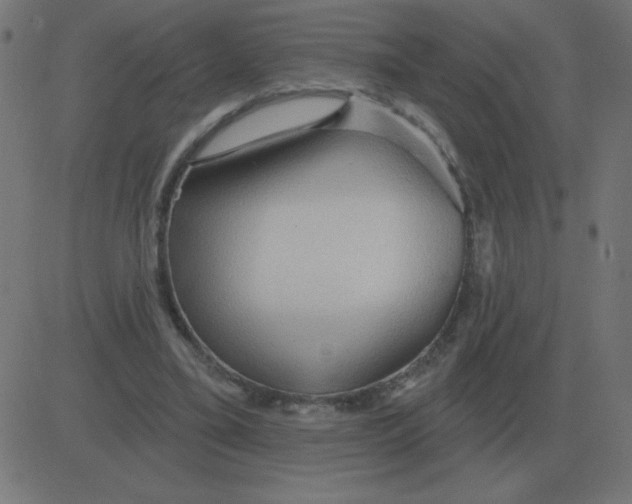 X0000081280395200702012224