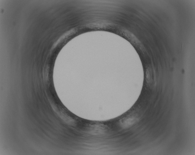 X0000081280396200702012224