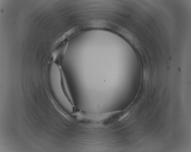 X0000081280397200702012224