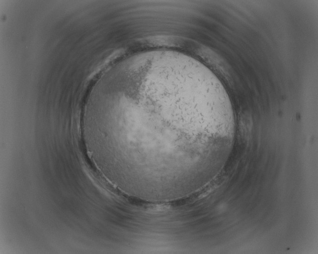 X0000081280398200702012224