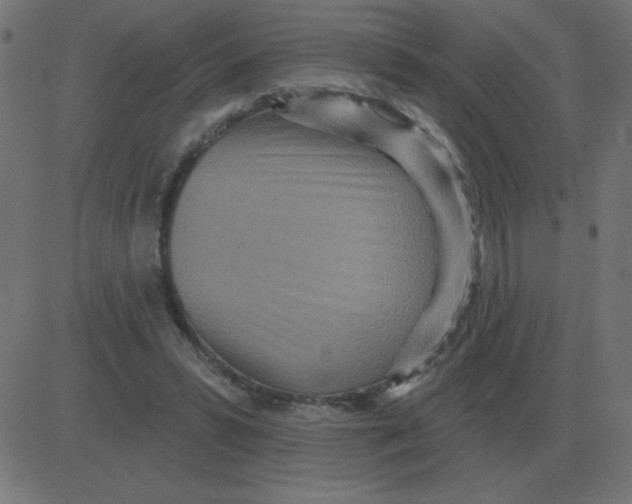 X0000081280399200702012224