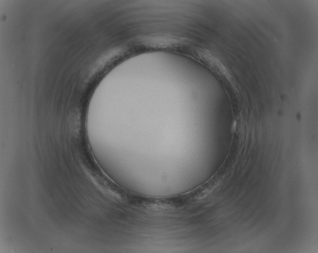 X0000081280400200702012224