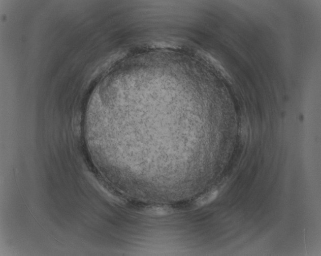 X0000081280402200702012224