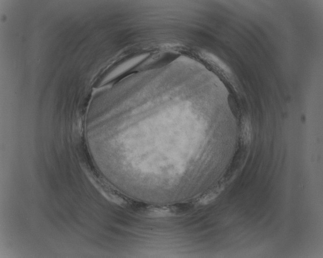 X0000081280405200702012224