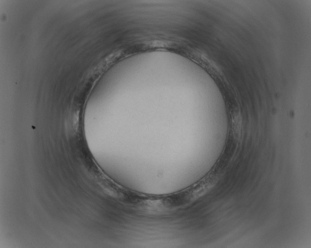 X0000081280406200702012224