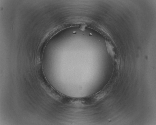 X0000081280407200702012224