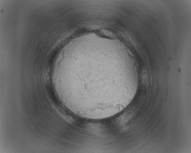 X0000081280408200702012224