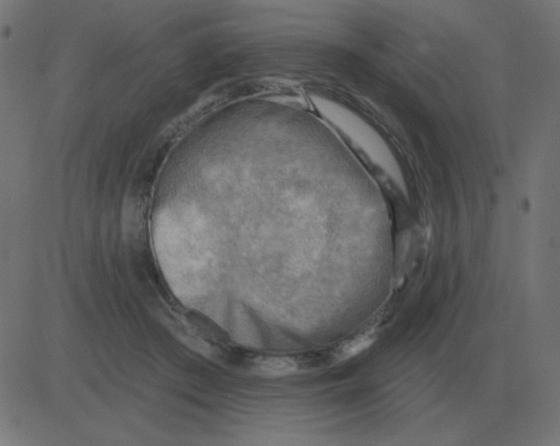 X0000081280409200702012224