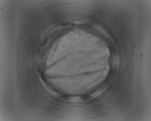 X0000081280410200702012224