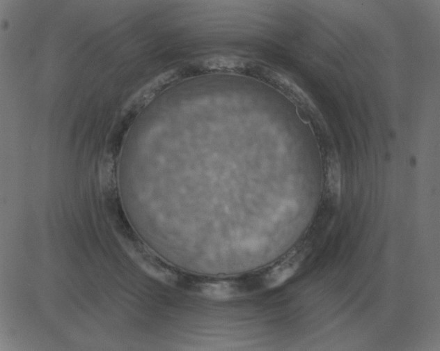 X0000081280411200702012224