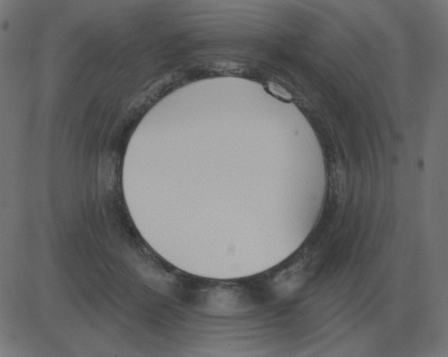 X0000081280412200702012223