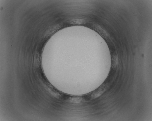 X0000081280414200702012223