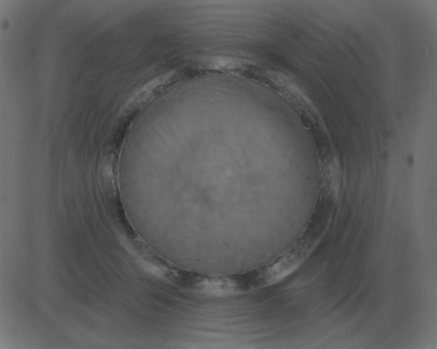 X0000081280415200702012223