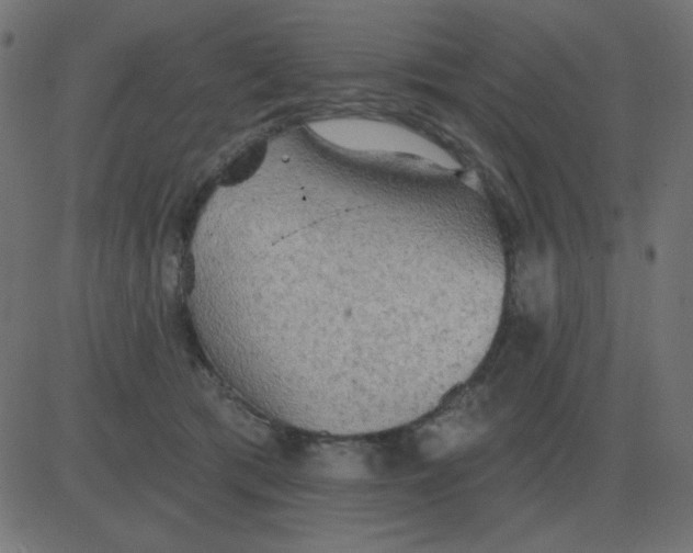 X0000081280417200702012223