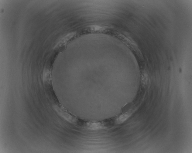 X0000081280419200702012223