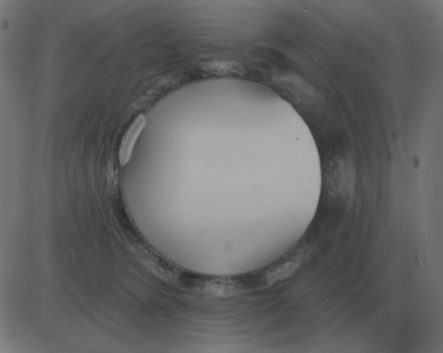 X0000081280420200702012223