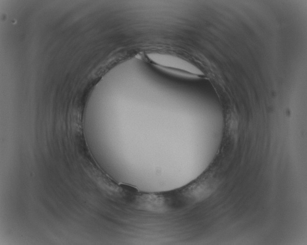 X0000081280421200702012223