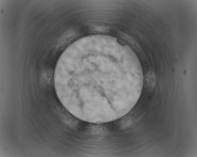 X0000081280423200702012223