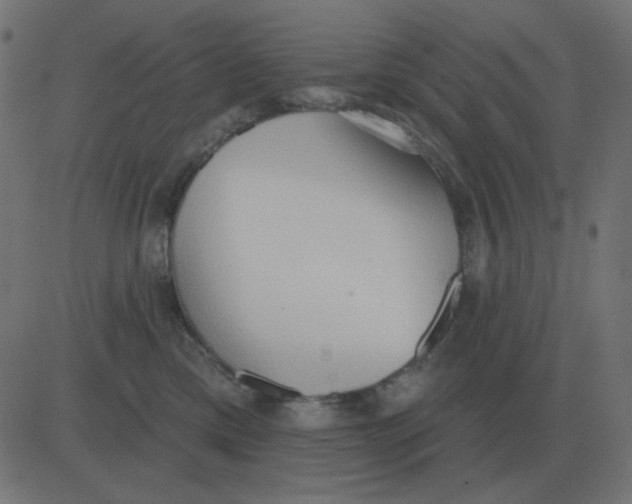 X0000081280425200702012223