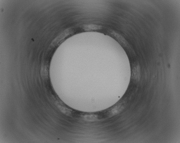 X0000081280426200702012223