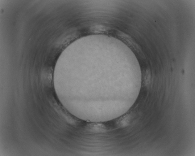 X0000081280427200702012223