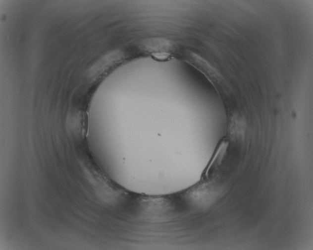 X0000081280428200702012223