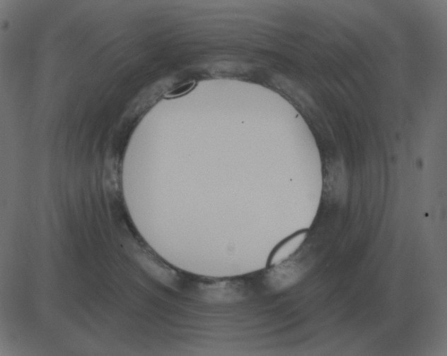 X0000081280430200702012223