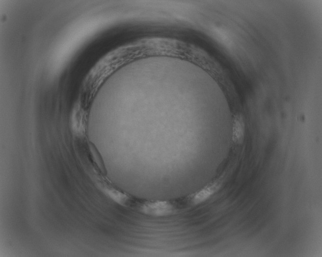 X0000081280431200702012223