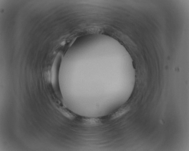 X0000081280432200702012223