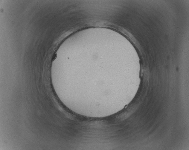 X0000081280433200702012222