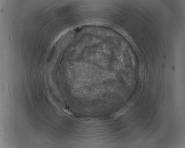 X0000081280434200702012222