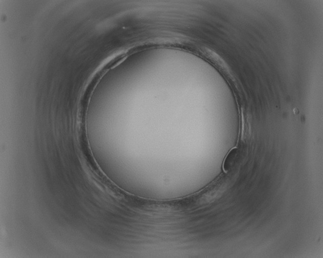 X0000081280435200702012222