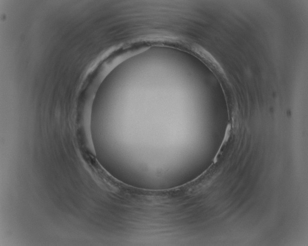 X0000081280436200702012222