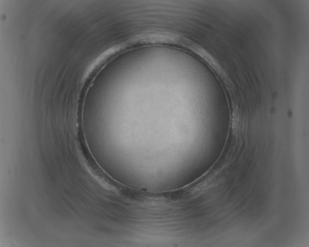 X0000081280438200702012222