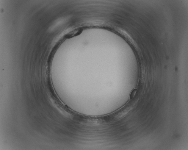 X0000081280439200702012222