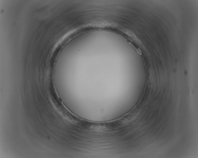 X0000081280440200702012222