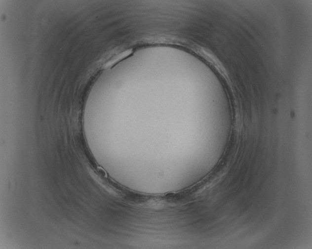 X0000081280441200702012223