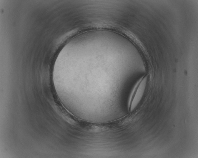 X0000081280442200702012223