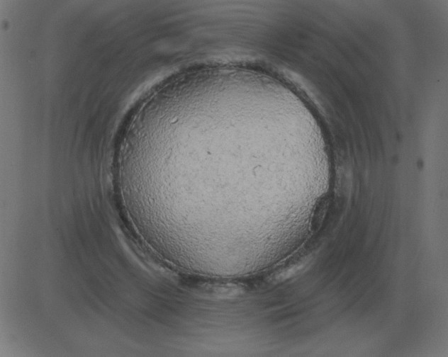 X0000081280443200702012223