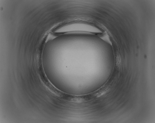 X0000081280444200702012223