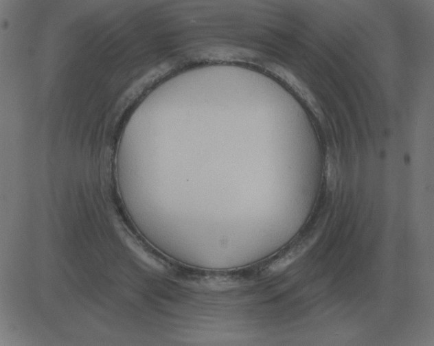 X0000081280445200702012223